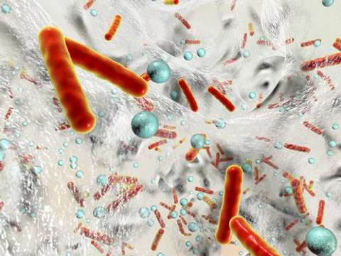 борьба с вирусами и бактериями